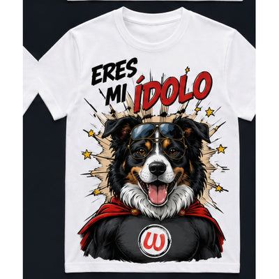 Eres mi ídolo — Border Collie